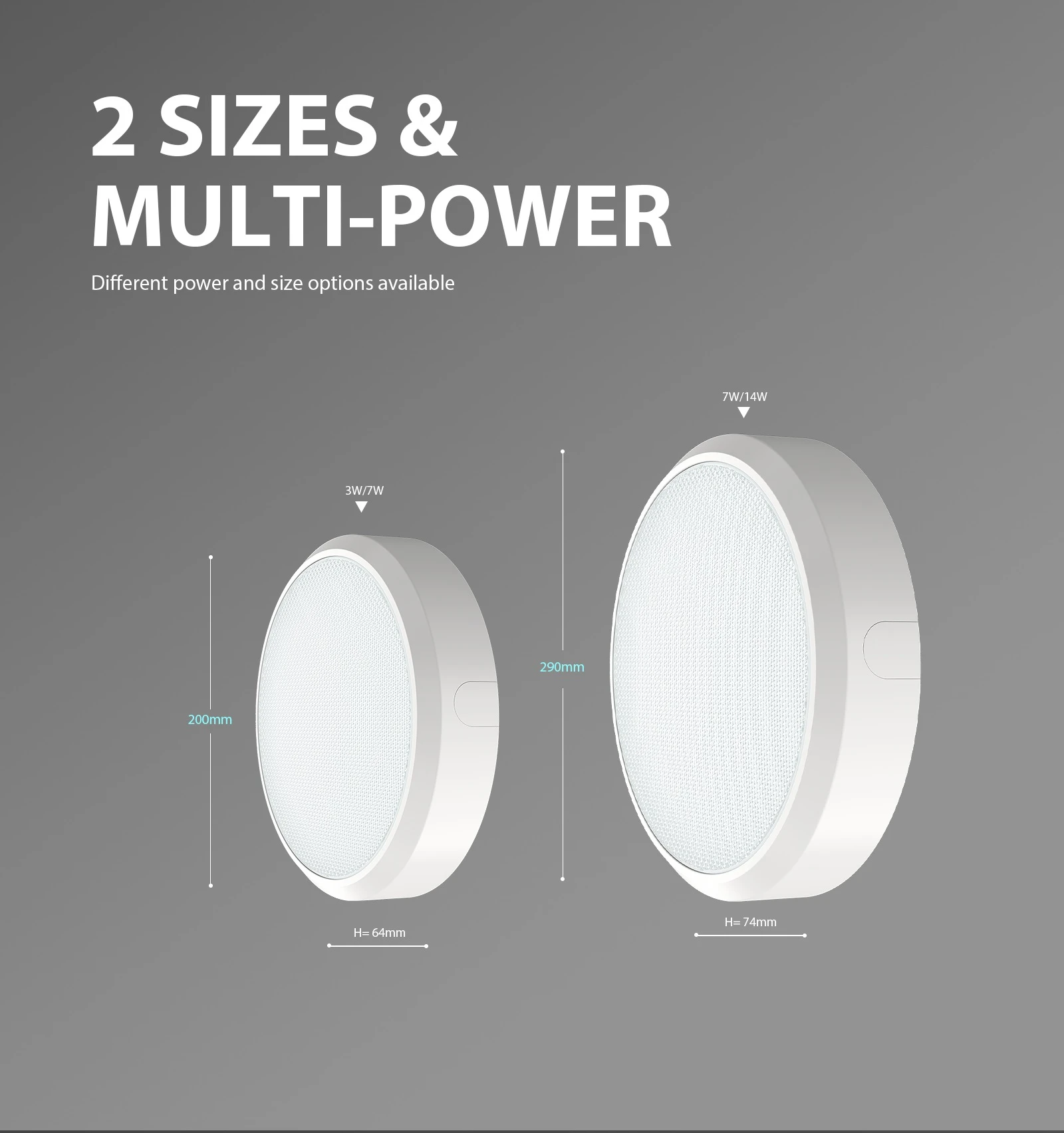 bulkhead-light-ProC29003 bulkhead-light-ProC29003